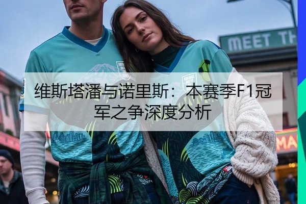 维斯塔潘与诺里斯：本赛季F1冠军之争深度分析